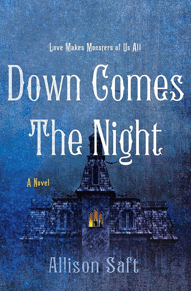 Down Comes the Night: A Novel cover image