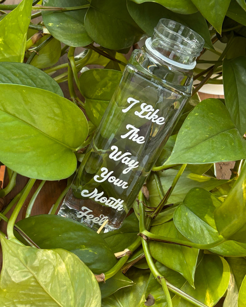Praise The Peach 2.0 Water Bottles