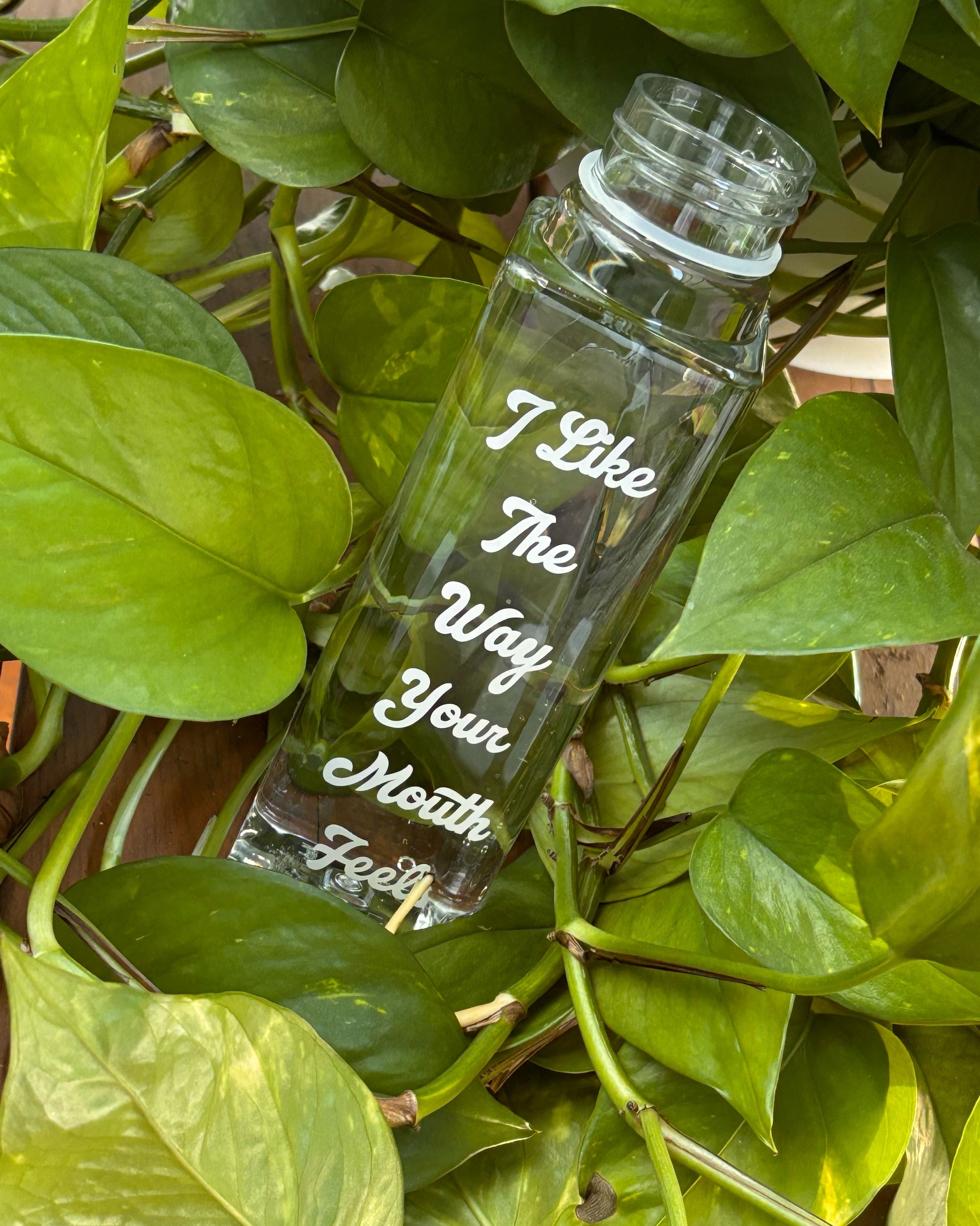Praise The Peach 2.0 Water Bottles