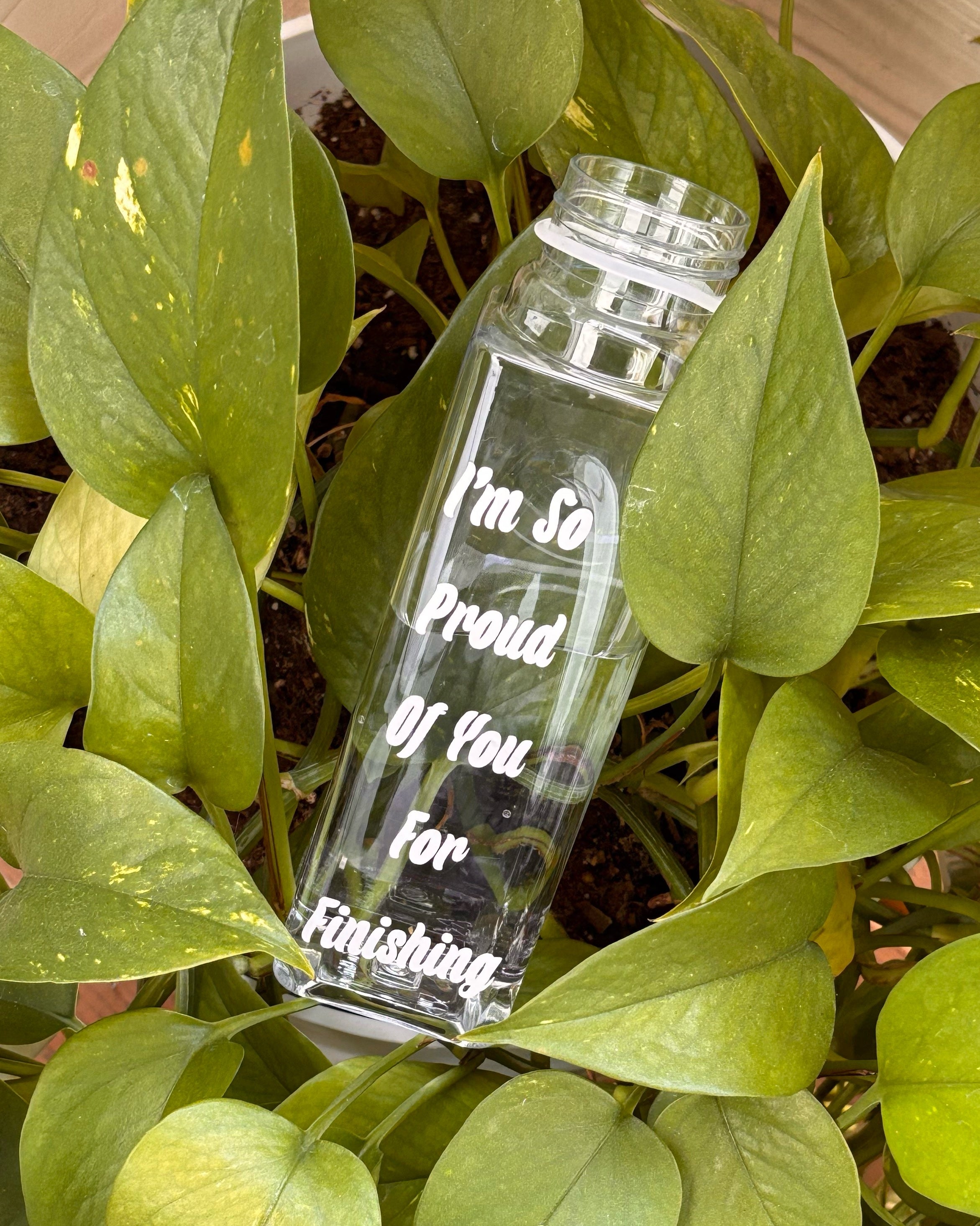 Praise The Peach 2.0 Water Bottles