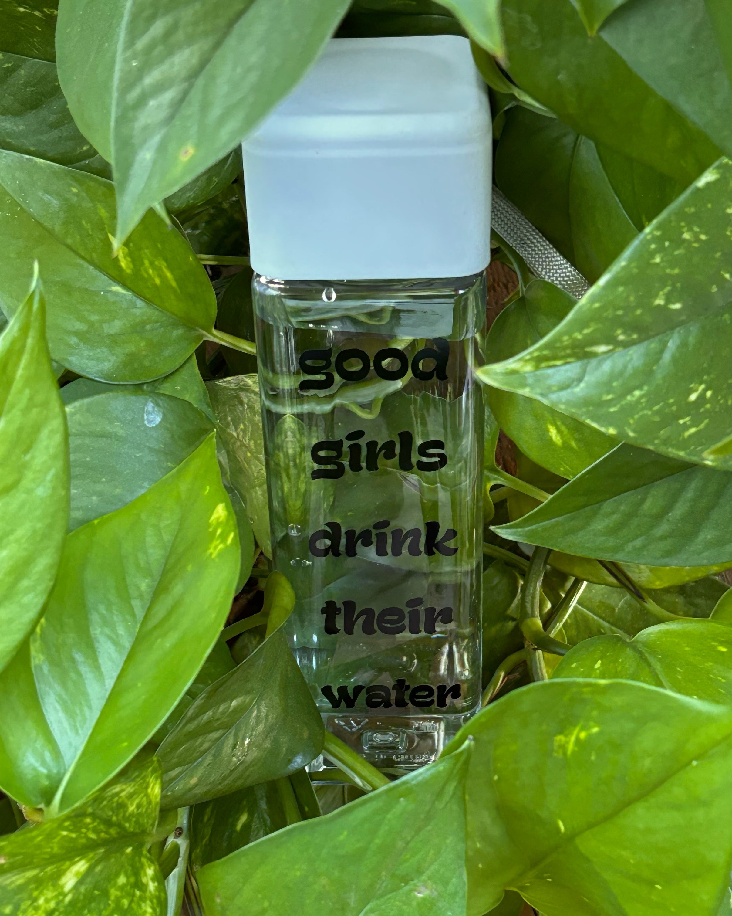 Praise The Peach 2.0 Water Bottles