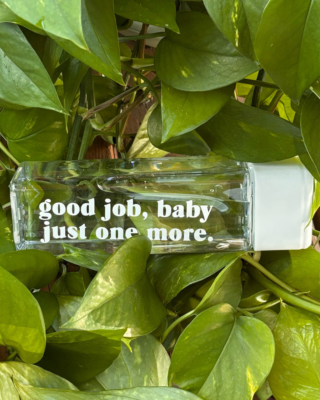 Praise The Peach 2.0 Water Bottles