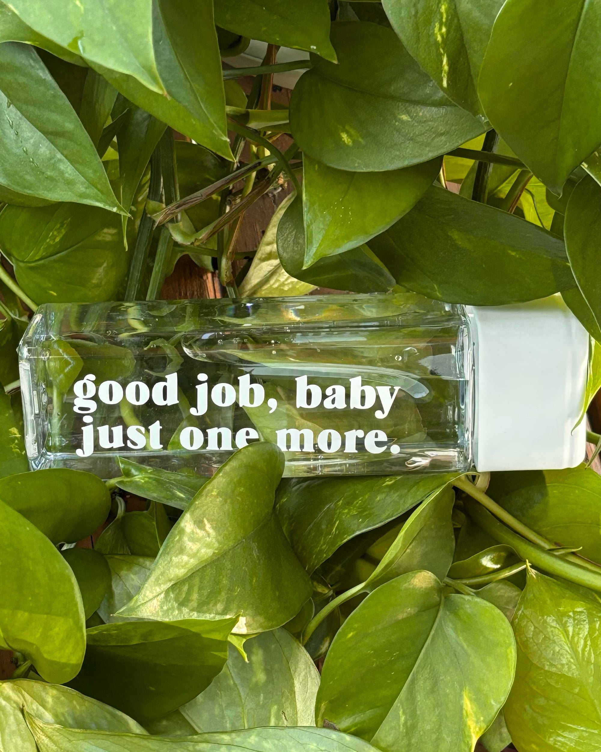 Praise The Peach 2.0 Water Bottles