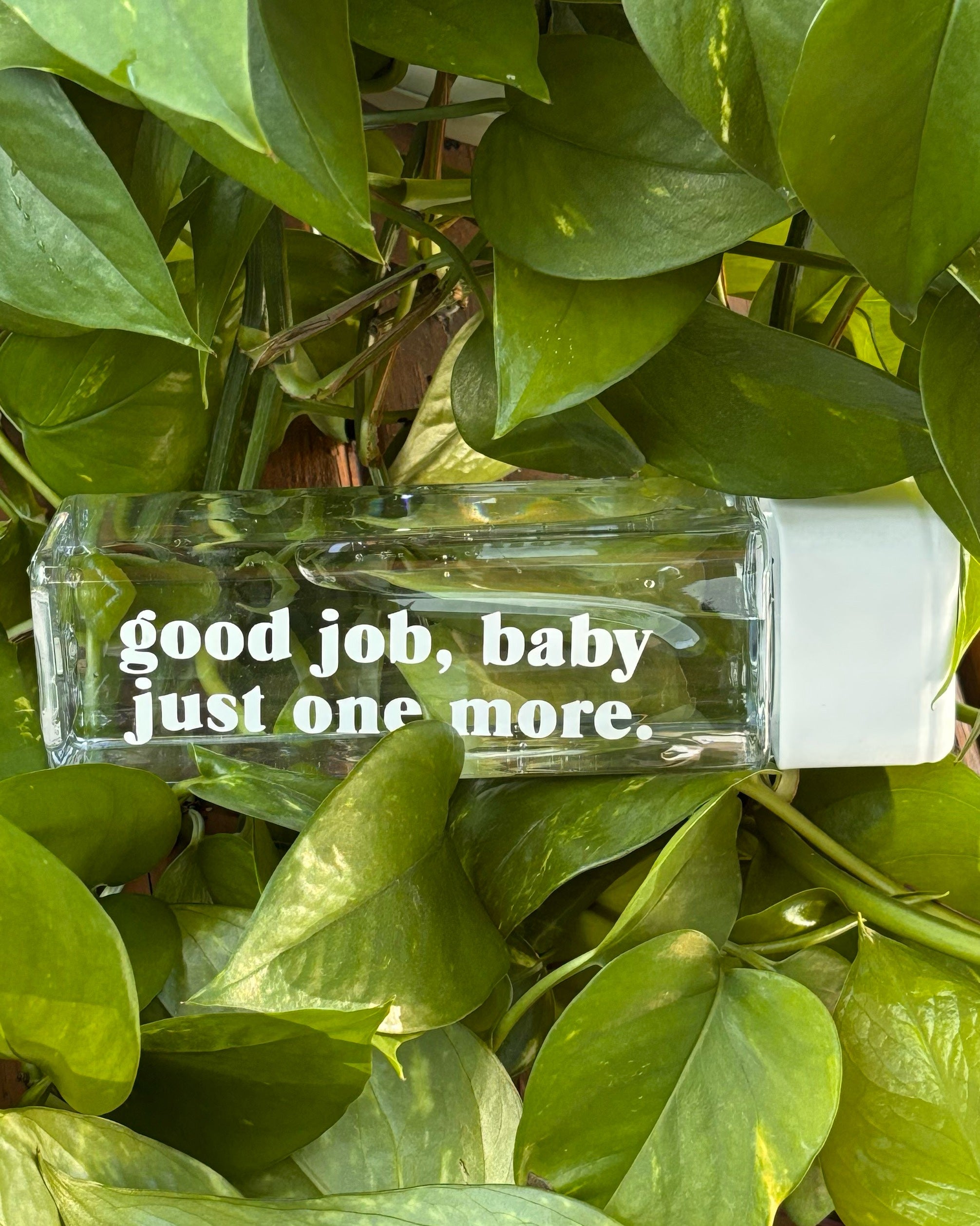 Praise The Peach 2.0 Water Bottles