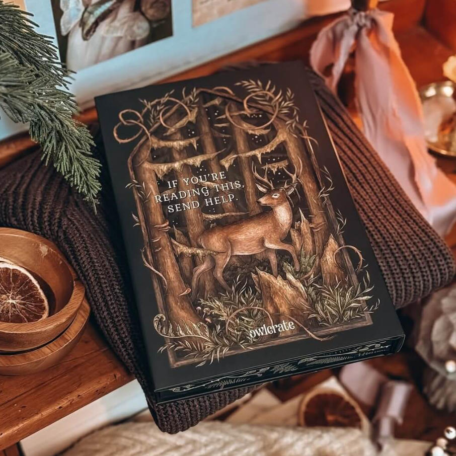 What the Woods Took (Owl Crate Edition)